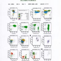 希望大家帮帮忙|患者:邹崇兰|疾病:慢性粒单核细