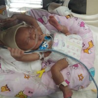 请救救我患有先天性心脏病新生儿败血症等疾病