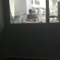 种种意外我们兄弟两个早来到这个世界1个半月