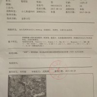 他还没有来得及长大,请帮帮这个孩子!