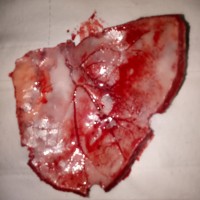 出手相救,能救活一家人!