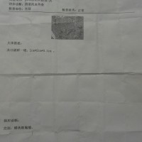 请大家救救宫颈癌的我,我想活下去!