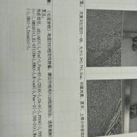 请大家救救肾癌的我,我想活下去!