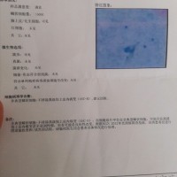 请大家救救宫颈癌的我,我想活下去!