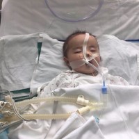 求帮忙求扩散!务川县砚山镇一个弱小生命的呼