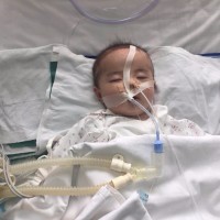 求帮忙求扩散!务川县砚山镇一个弱小生命的呼