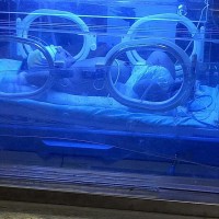 求你们帮我留下我身患肺部感染的他!