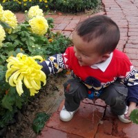 淇|疾病:先天性心脏病:法洛四联症,房间隔缺损。