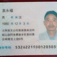 我舅舅被查出,窦性心动过速,右肺肺炎并积液,帮